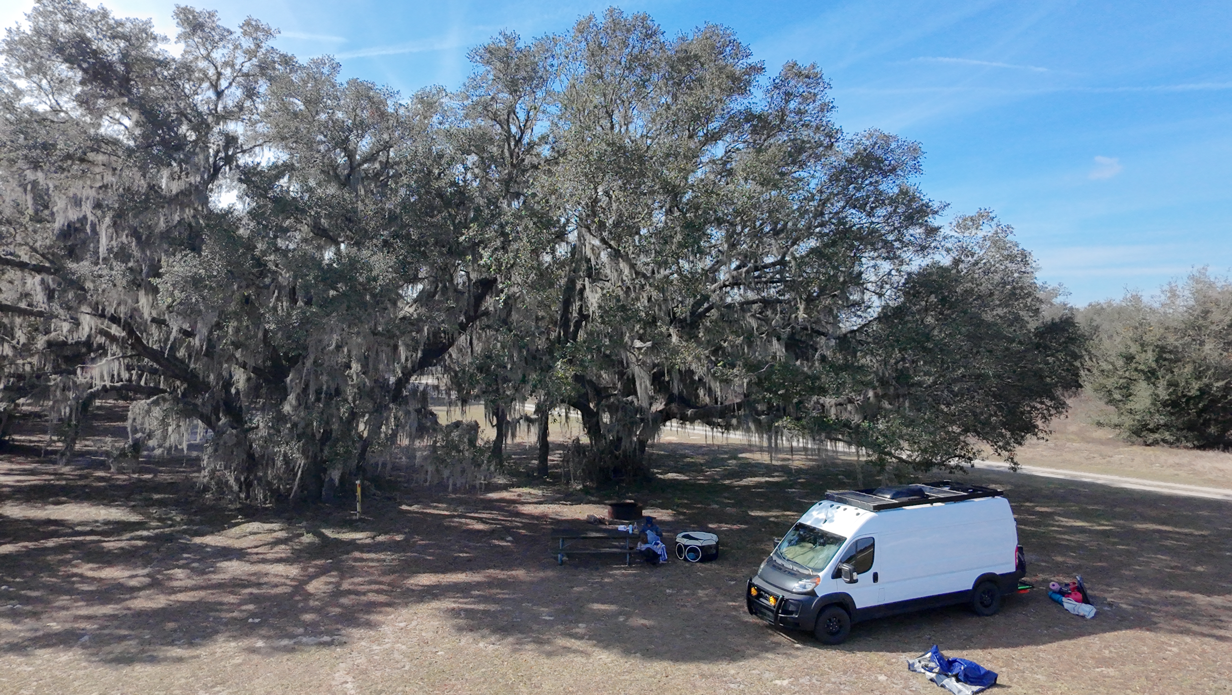 Embracing Van Life: How Camping in National Forests Keeps Our Journey Affordable