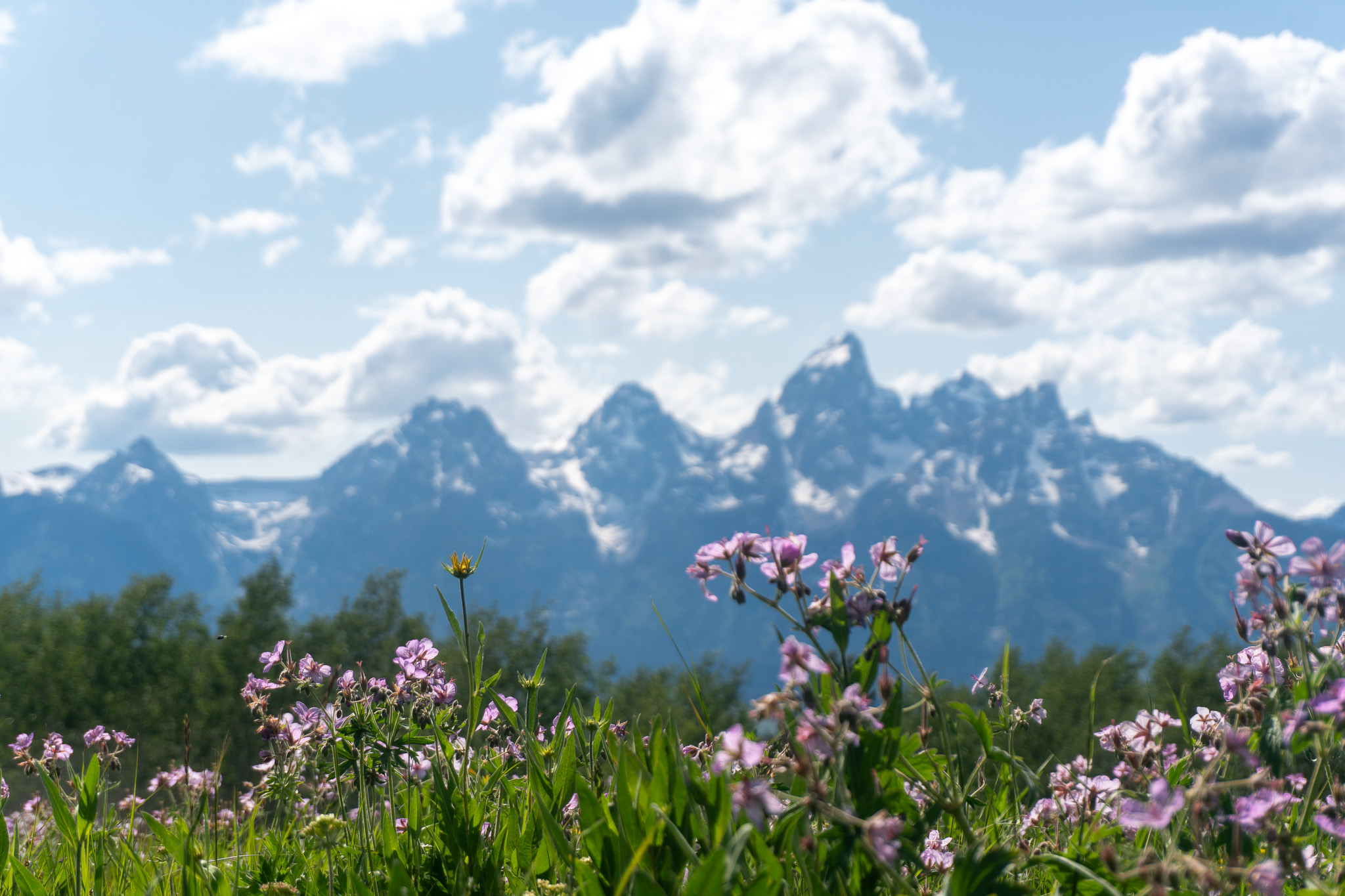 Grand Teton: Why This National Park Became Our Absolute Favorite (And Where We Actually Stayed for Two Weeks)