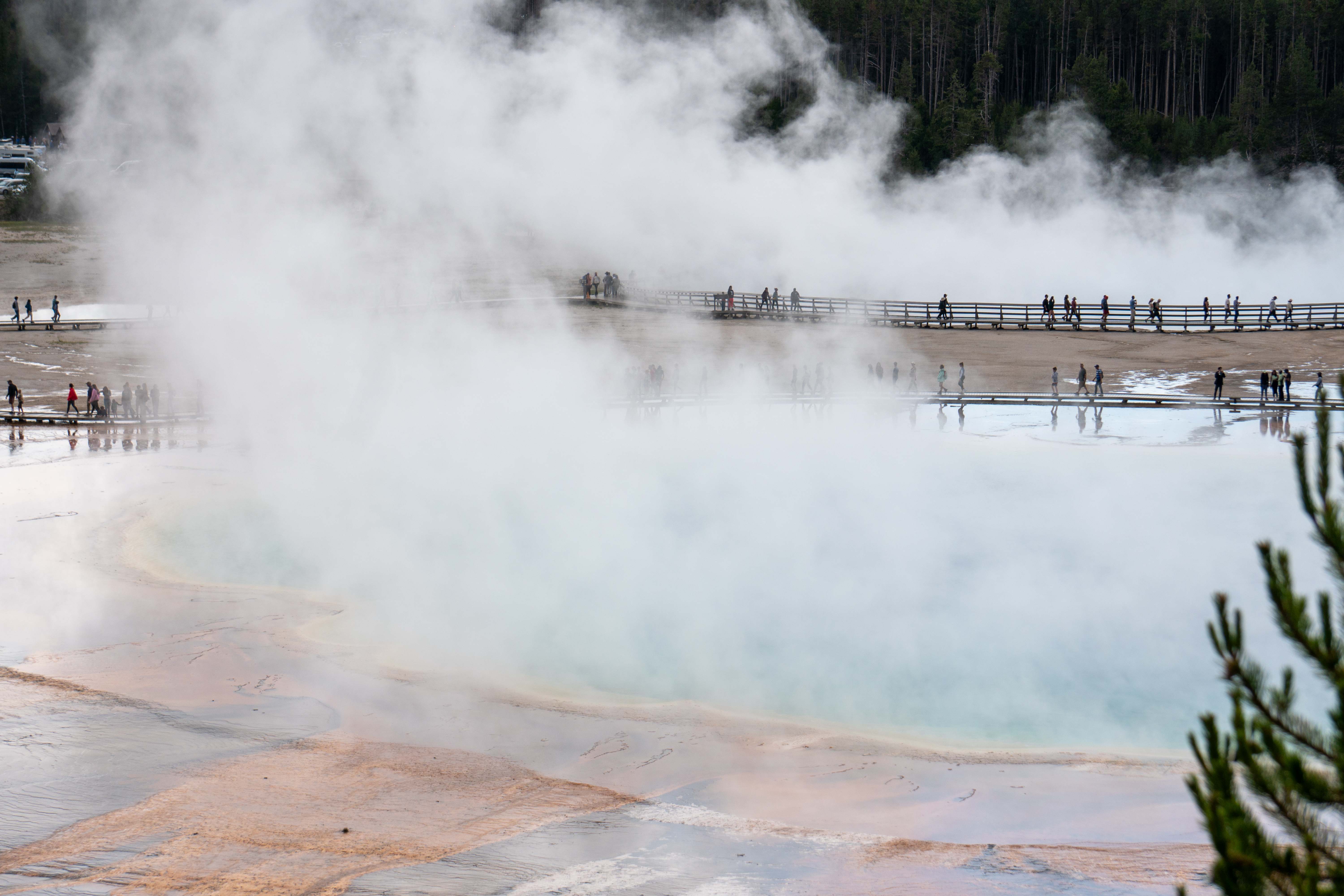 Yellowstone in July: When a Holiday Weekend Brings Wildlife, Friends, and Accidental Bear Spray