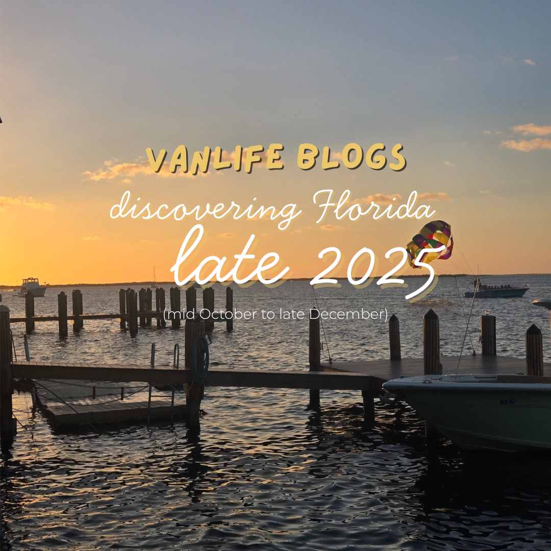 Our Florida Fall & Winter: From House Sits to Holiday Lights